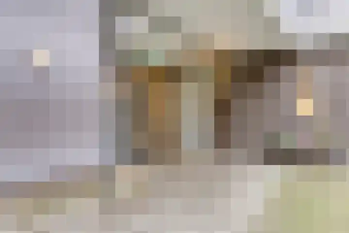 Donkse Dreef 100 's-Hertogenbosch thumbnail 11