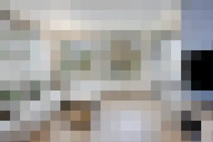 Donkse Dreef 100 's-Hertogenbosch thumbnail 16