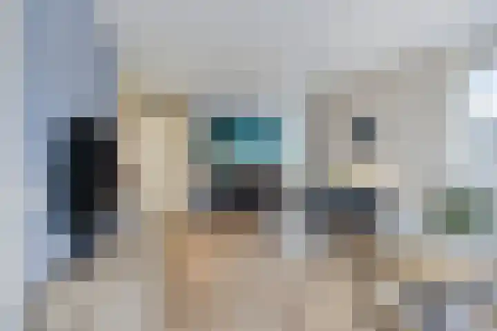 Donkse Dreef 100 's-Hertogenbosch thumbnail 17