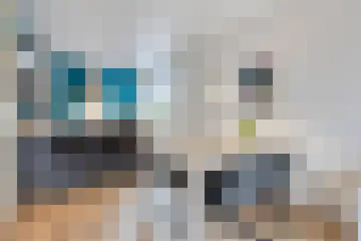 Donkse Dreef 100 's-Hertogenbosch thumbnail 19