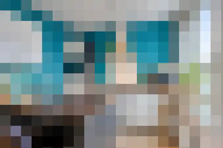 Donkse Dreef 100 's-Hertogenbosch thumbnail 20