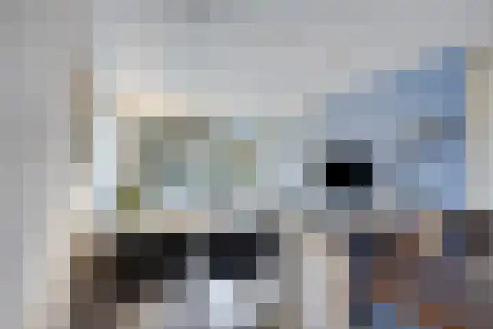 Donkse Dreef 100 's-Hertogenbosch thumbnail 21