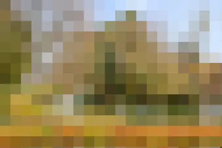 Donkse Dreef 100 's-Hertogenbosch thumbnail 27