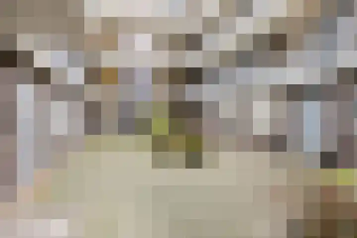 Donkse Dreef 100 's-Hertogenbosch thumbnail 35