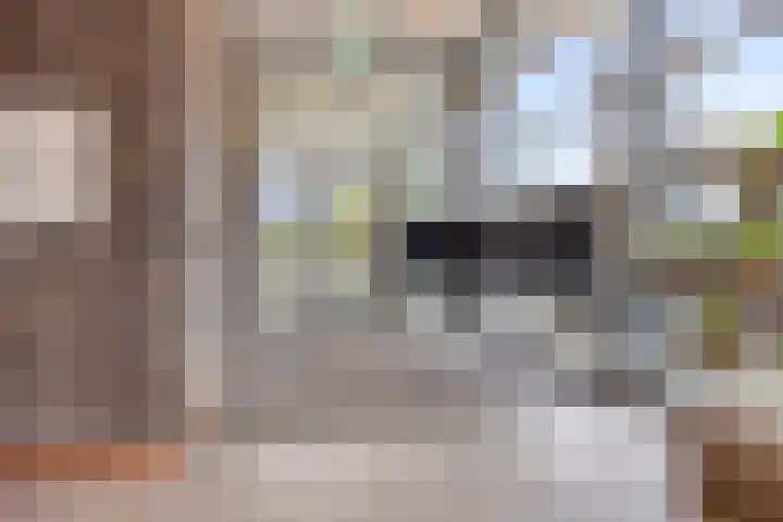 Donkse Dreef 100 's-Hertogenbosch thumbnail 36