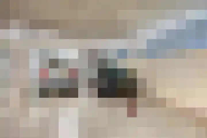 Donkse Dreef 100 's-Hertogenbosch thumbnail 37
