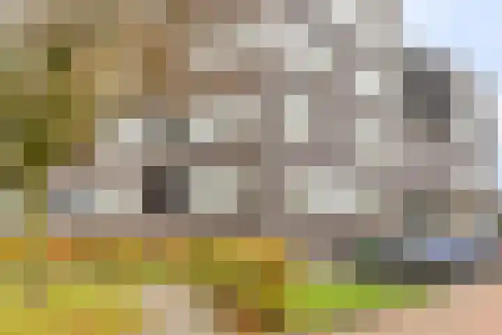 Donkse Dreef 100 's-Hertogenbosch thumbnail 40