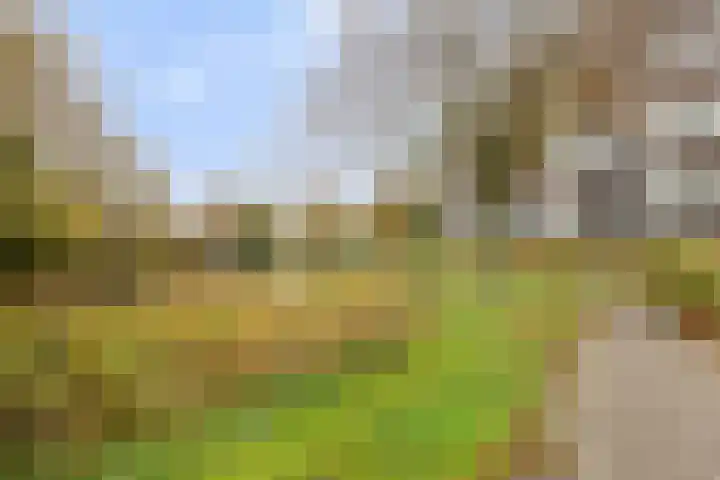 Donkse Dreef 100 's-Hertogenbosch thumbnail 41