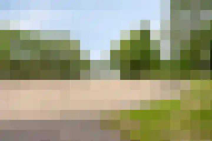 Donkse Dreef 100 's-Hertogenbosch thumbnail 44