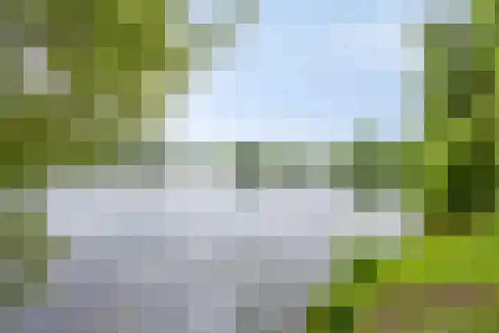 Donkse Dreef 100 's-Hertogenbosch thumbnail 45