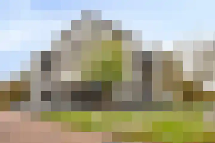 Donkse Dreef 100 's-Hertogenbosch thumbnail 5