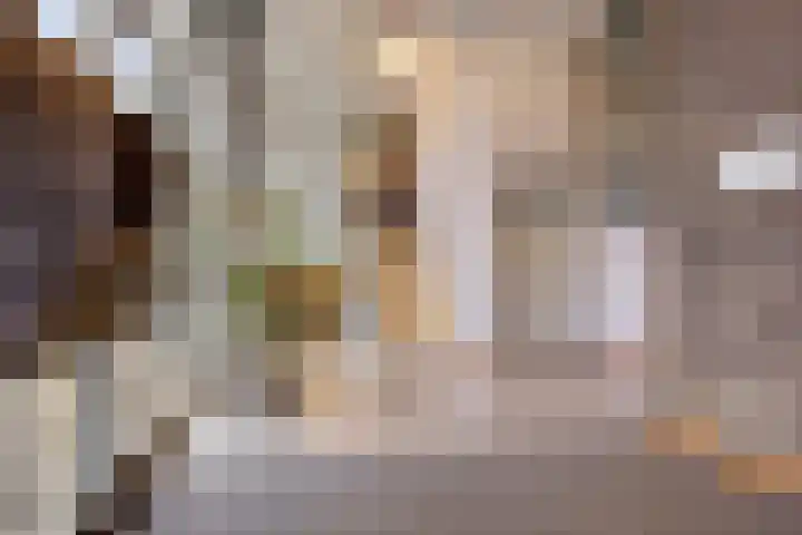 Donkse Dreef 100 's-Hertogenbosch thumbnail 7