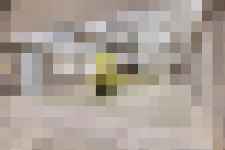 Donkse Dreef 100 's-Hertogenbosch thumbnail 9