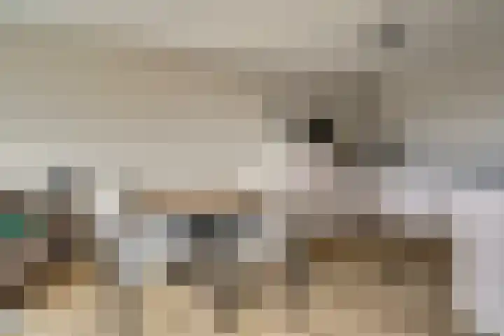 Donkse Dreef 112 's-Hertogenbosch thumbnail 10