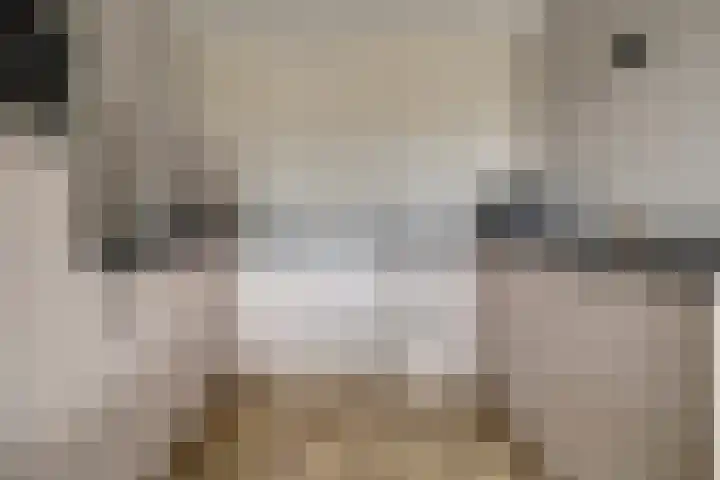 Donkse Dreef 112 's-Hertogenbosch thumbnail 11