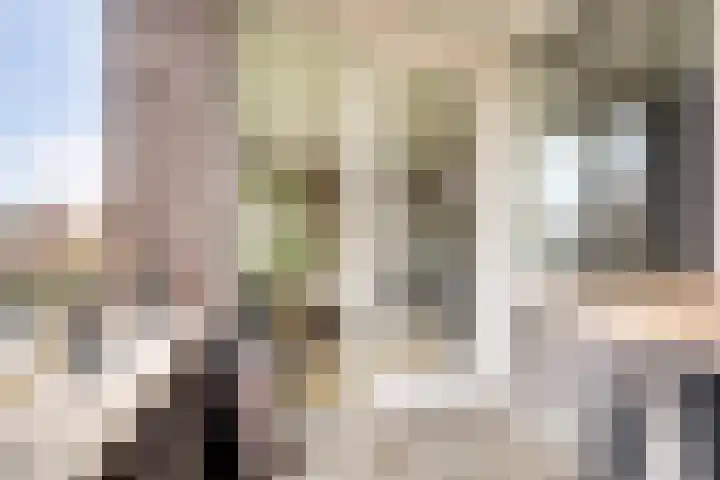 Donkse Dreef 112 's-Hertogenbosch thumbnail 14
