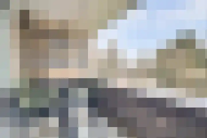 Donkse Dreef 112 's-Hertogenbosch thumbnail 15