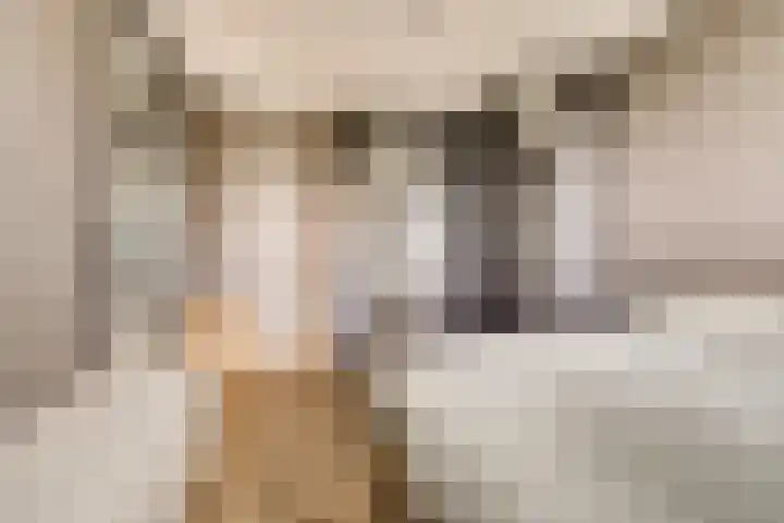 Donkse Dreef 112 's-Hertogenbosch thumbnail 19