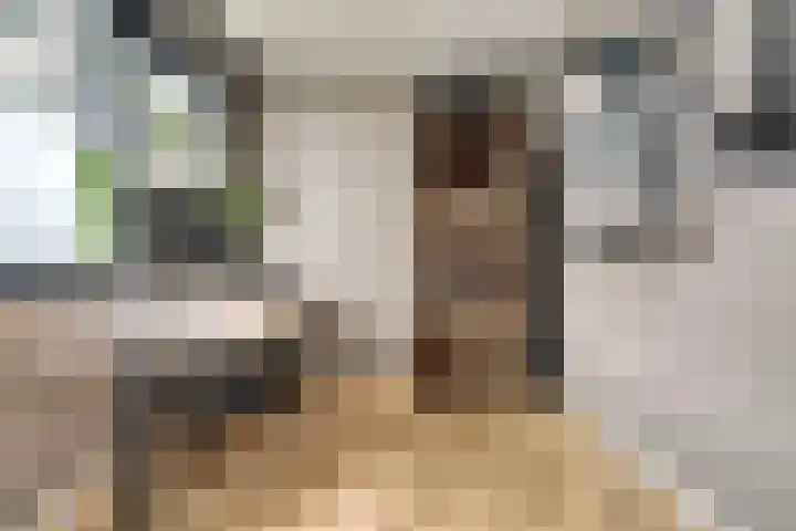 Donkse Dreef 112 's-Hertogenbosch thumbnail 24