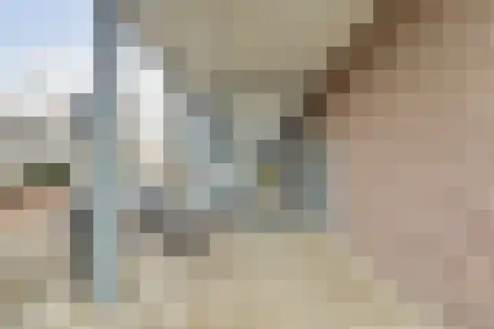 Donkse Dreef 112 's-Hertogenbosch thumbnail 28