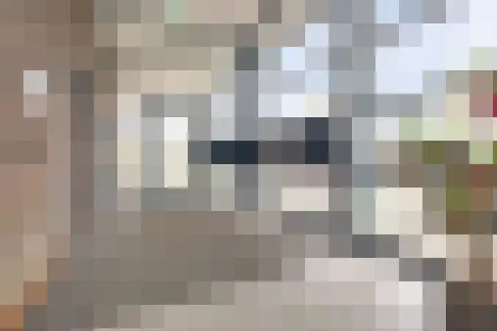 Donkse Dreef 112 's-Hertogenbosch thumbnail 29