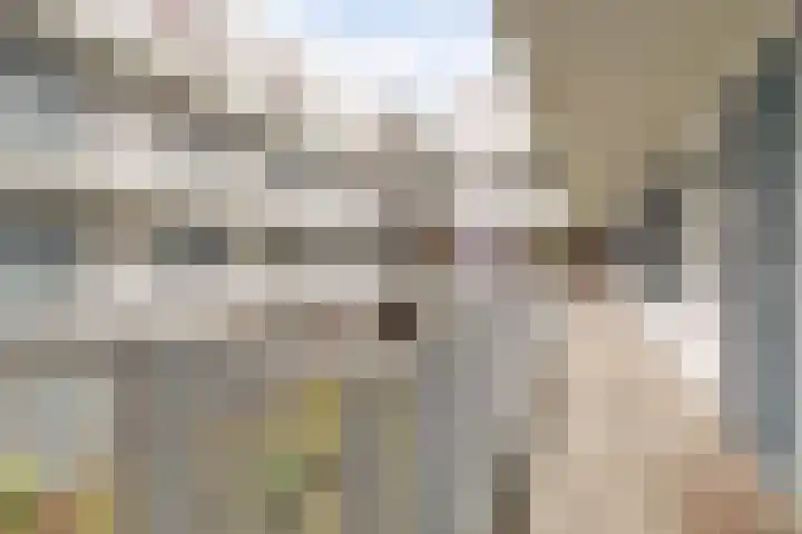 Donkse Dreef 112 's-Hertogenbosch thumbnail 31