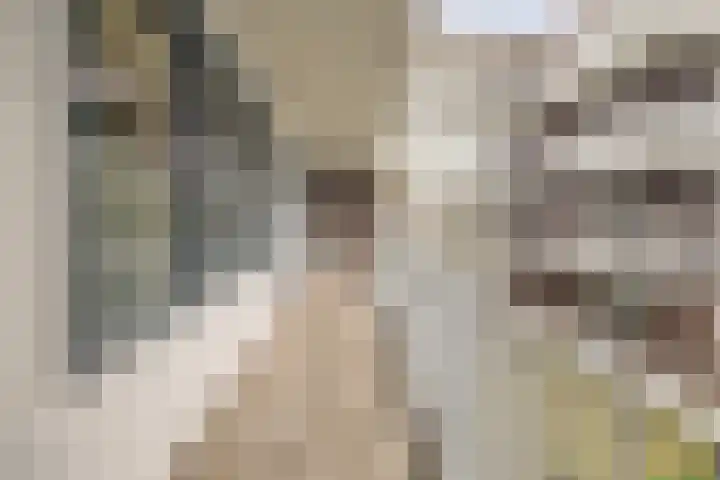 Donkse Dreef 112 's-Hertogenbosch thumbnail 32