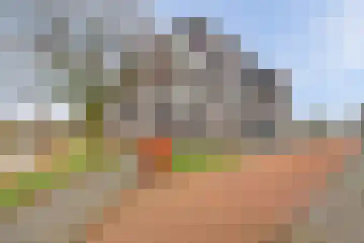 Donkse Dreef 112 's-Hertogenbosch thumbnail 35