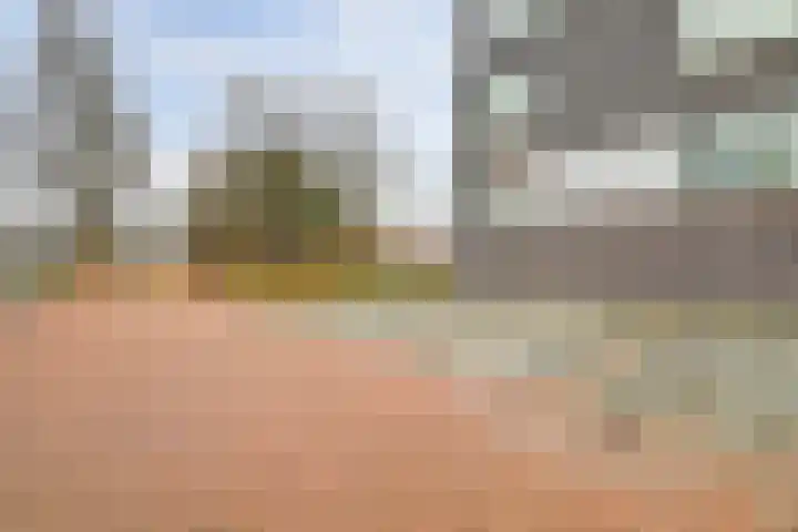 Donkse Dreef 112 's-Hertogenbosch thumbnail 37