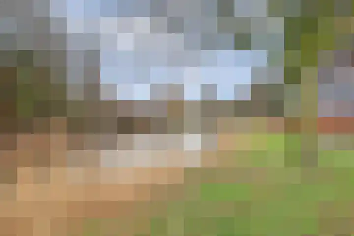 Donkse Dreef 112 's-Hertogenbosch thumbnail 38