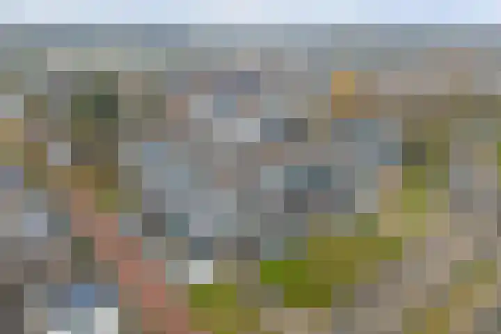 Donkse Dreef 112 's-Hertogenbosch thumbnail 39