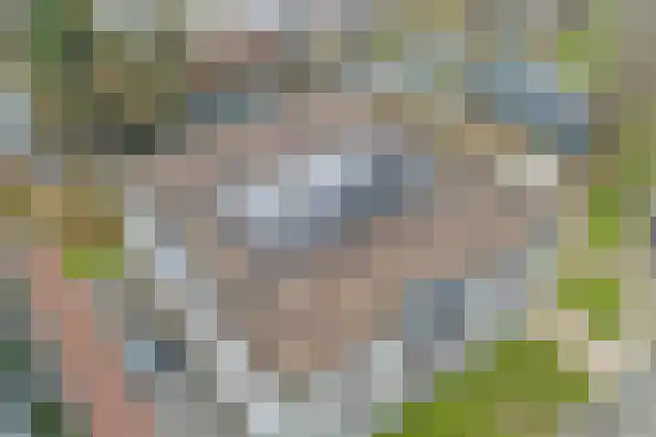 Donkse Dreef 112 's-Hertogenbosch thumbnail 40