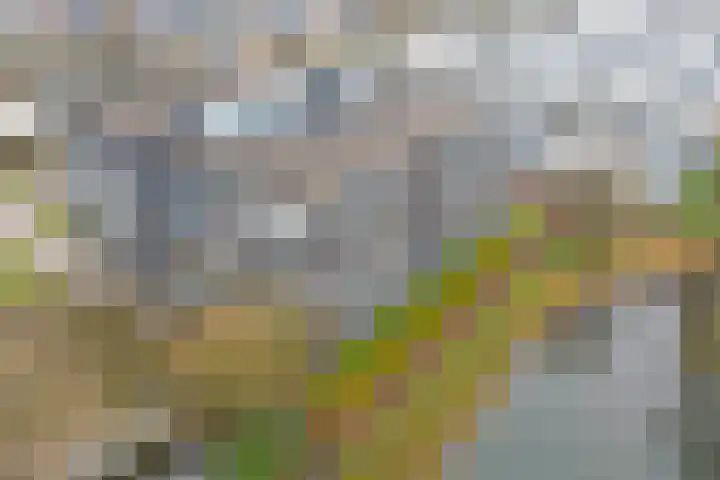 Donkse Dreef 112 's-Hertogenbosch thumbnail 41