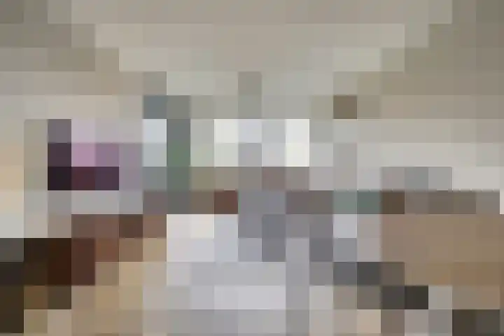 Donkse Dreef 112 's-Hertogenbosch thumbnail 7