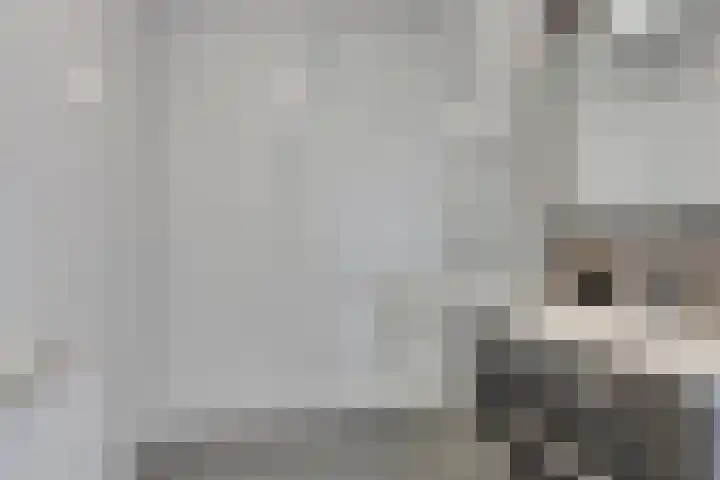 Donkse Dreef 122 's-Hertogenbosch thumbnail 13