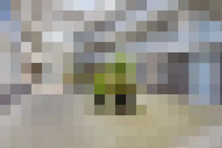 Donkse Dreef 122 's-Hertogenbosch thumbnail 19