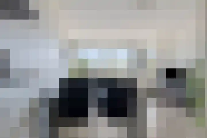 Donkse Dreef 122 's-Hertogenbosch thumbnail 9