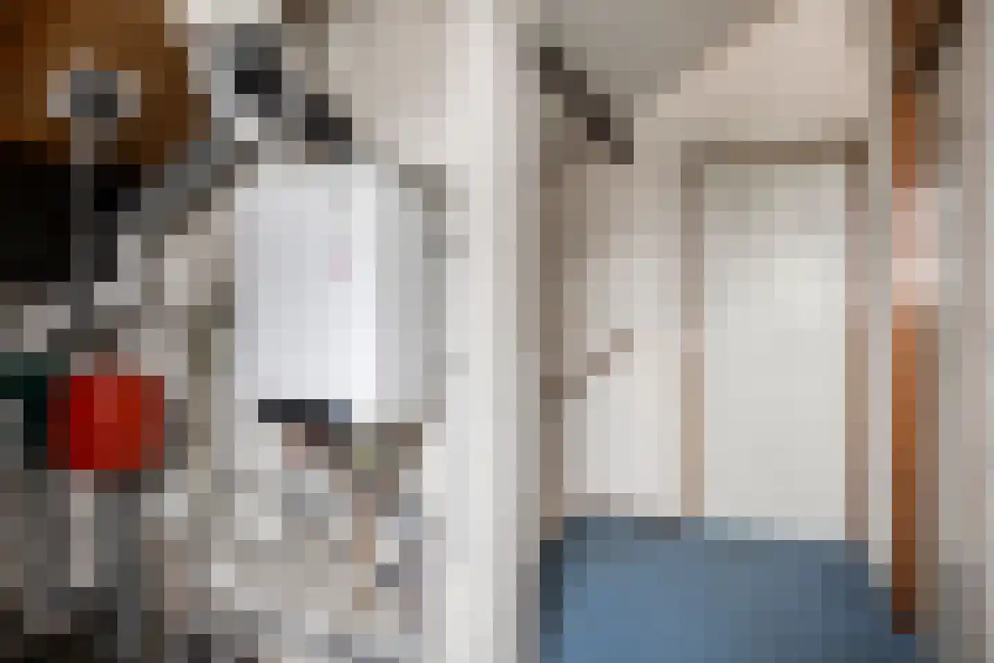 Donkse Dreef 23 's-Hertogenbosch thumbnail 28