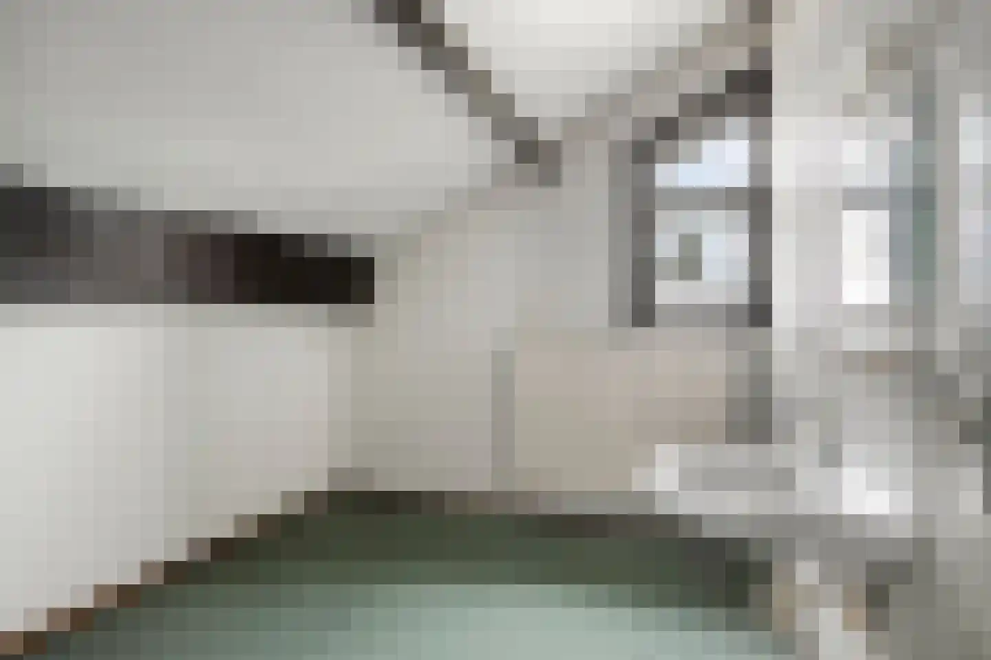 Donkse Dreef 23 's-Hertogenbosch thumbnail 32