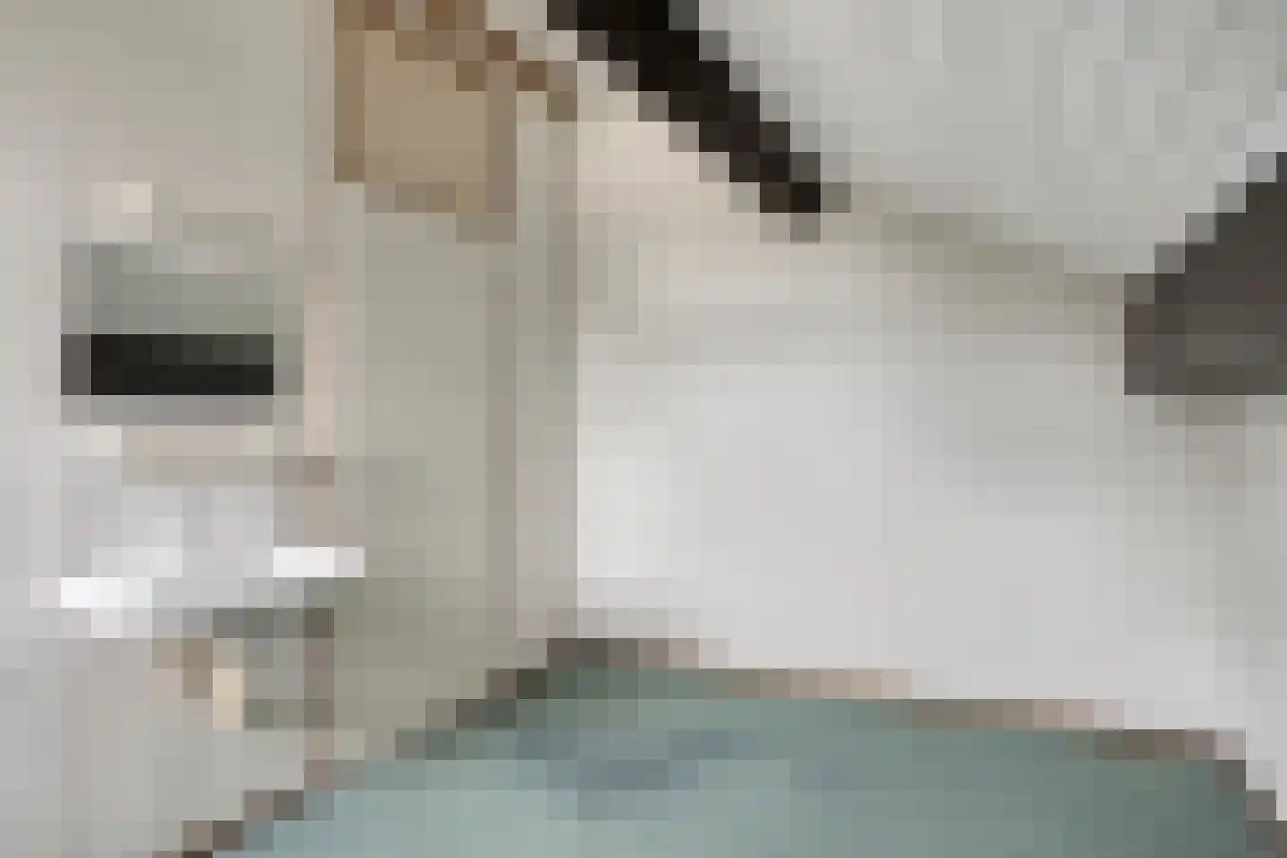 Donkse Dreef 23 's-Hertogenbosch thumbnail 33
