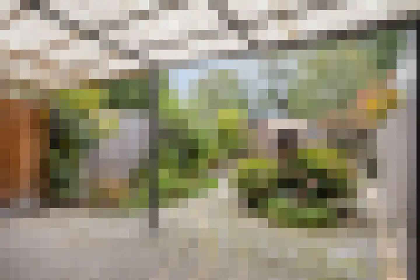 Donkse Dreef 23 's-Hertogenbosch thumbnail 36