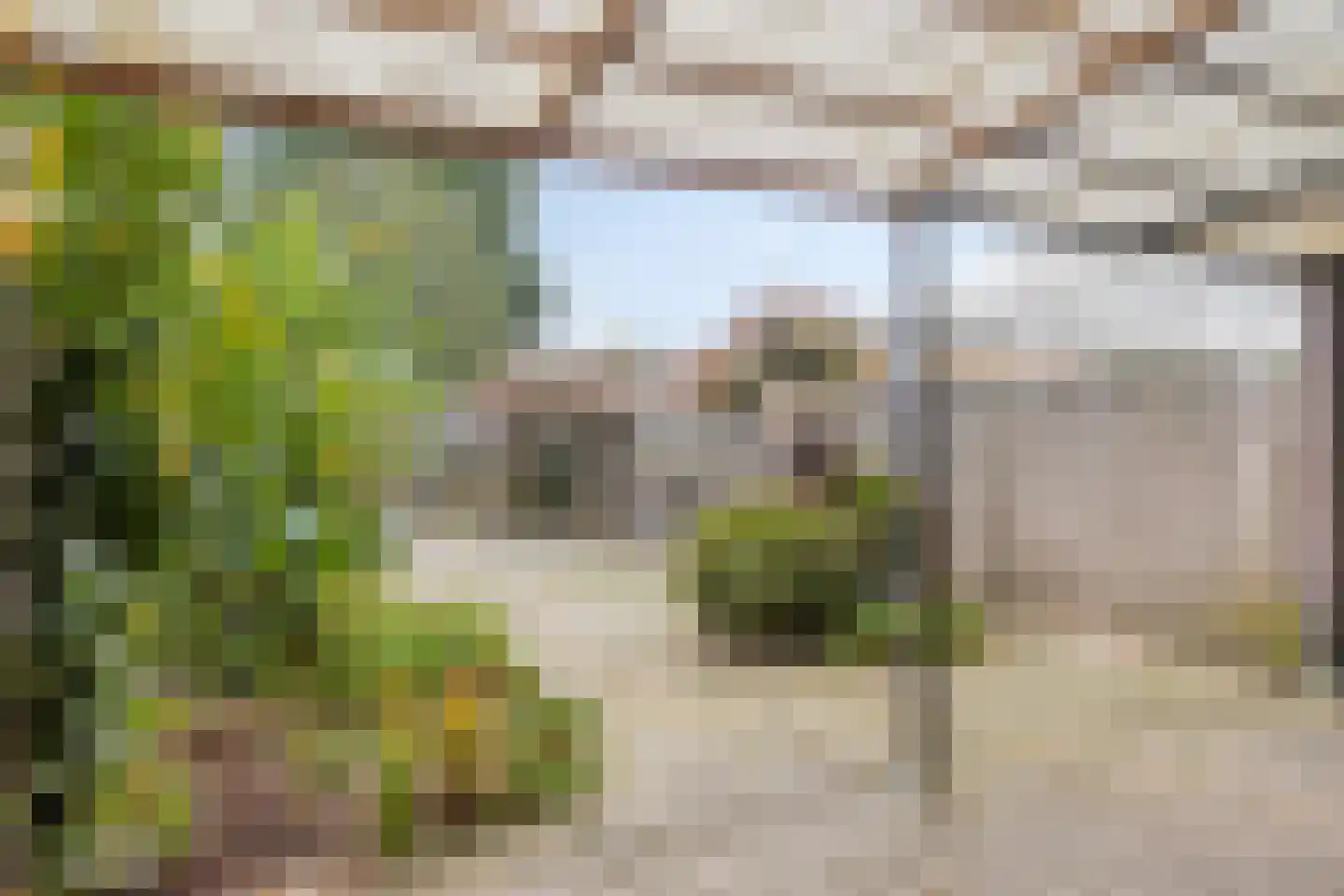 Donkse Dreef 23 's-Hertogenbosch thumbnail 37