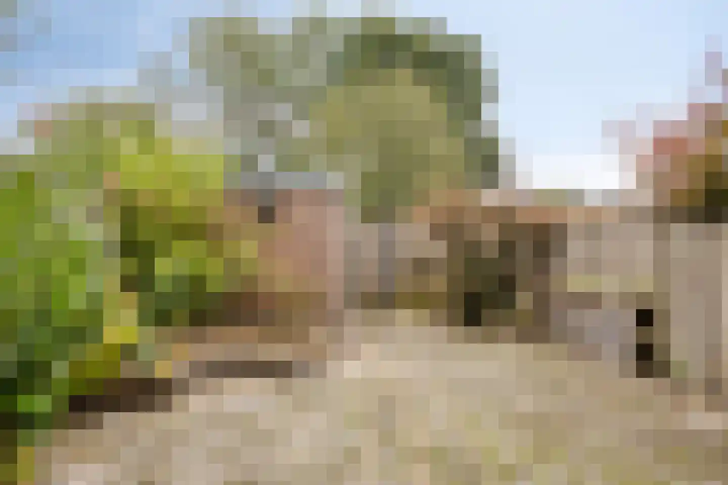 Donkse Dreef 23 's-Hertogenbosch thumbnail 38