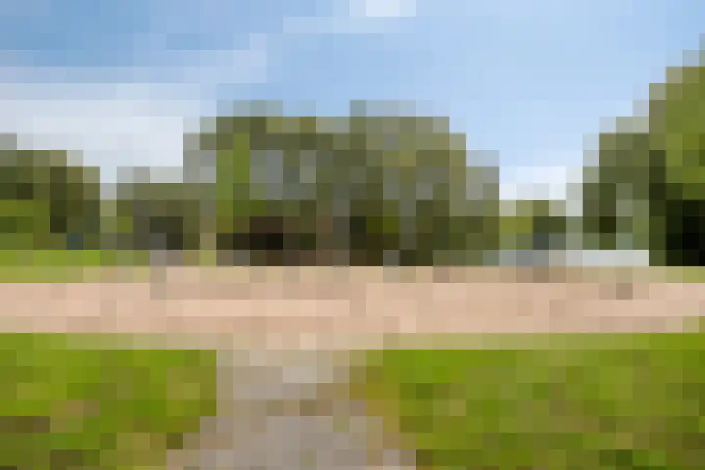 Donkse Dreef 23 's-Hertogenbosch thumbnail 41