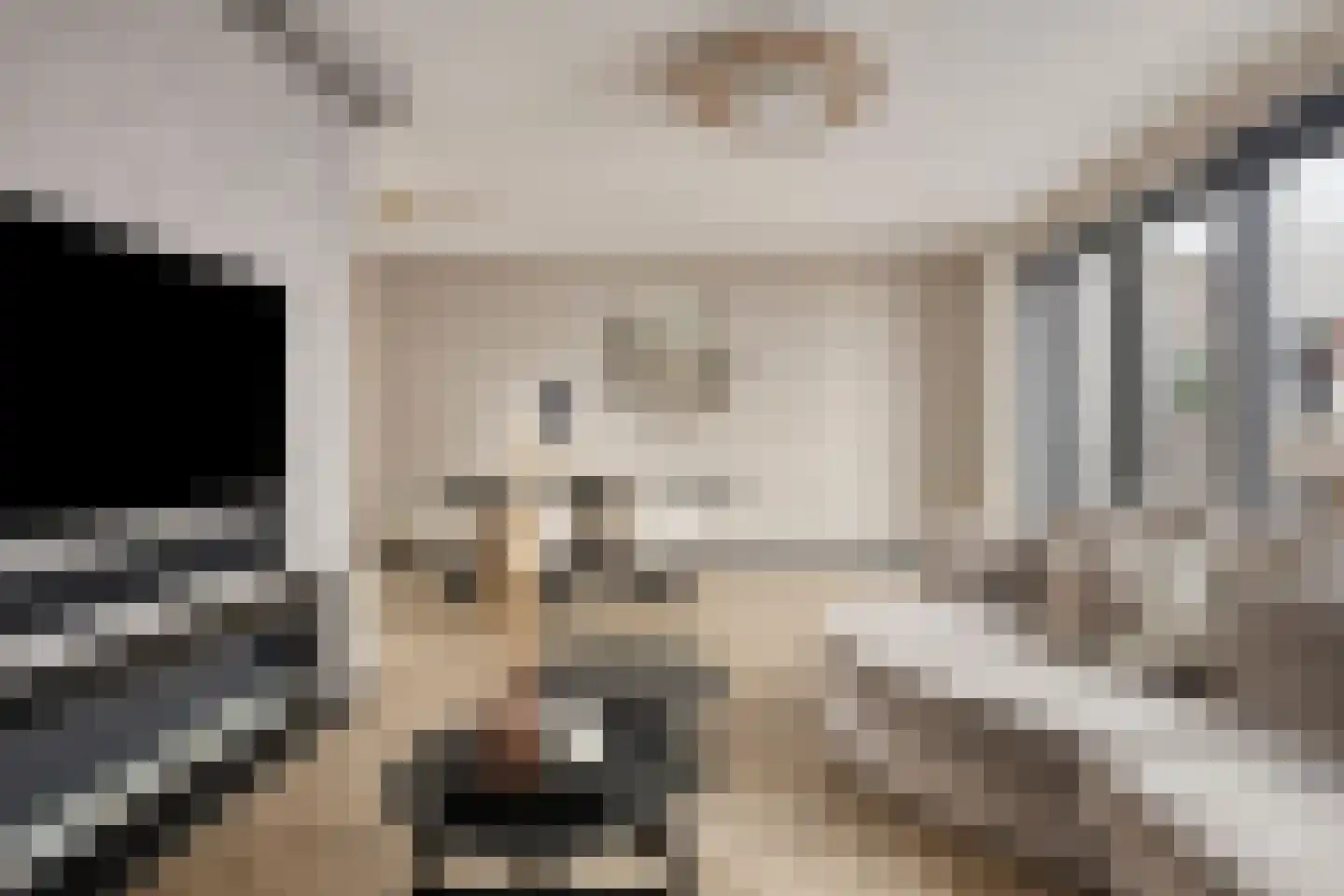 Donkse Dreef 26 's-Hertogenbosch thumbnail 13