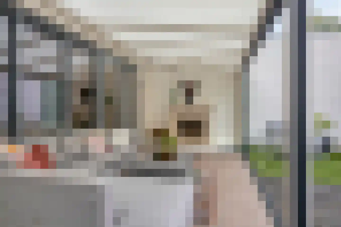 Donkse Dreef 26 's-Hertogenbosch thumbnail 36