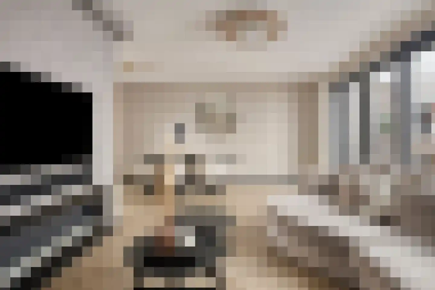 Donkse Dreef 26 's-Hertogenbosch thumbnail 4