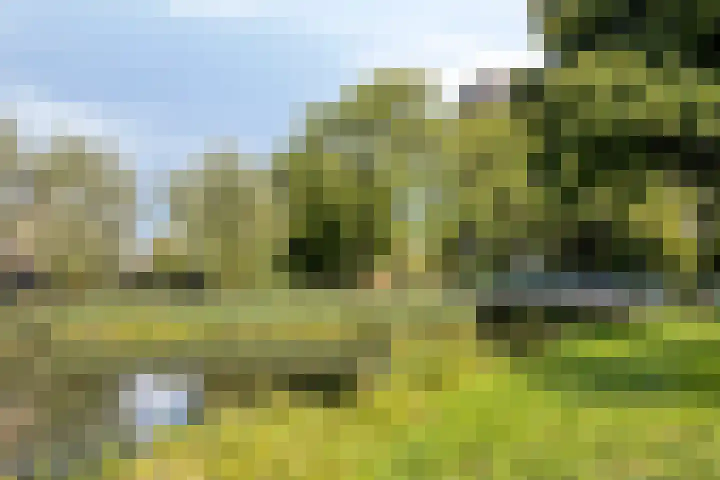Donkse Dreef 26 's-Hertogenbosch thumbnail 40