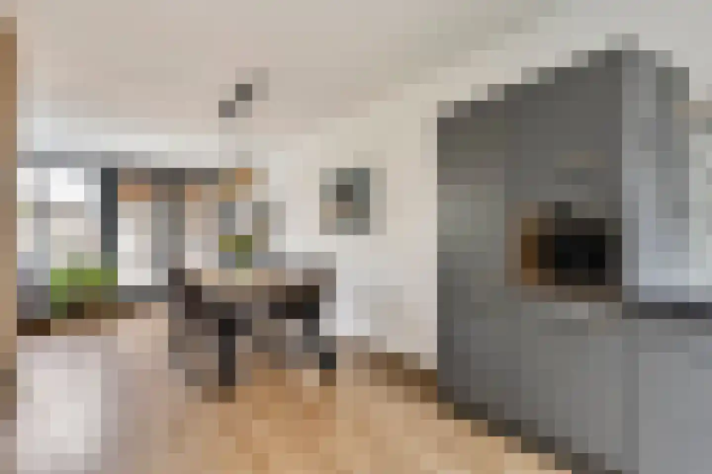 Donkse Dreef 34 's-Hertogenbosch thumbnail 10