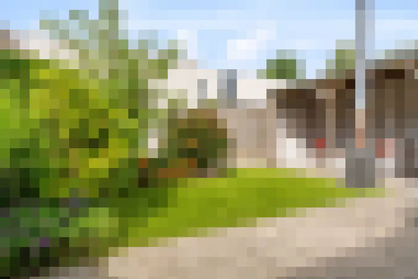 Donkse Dreef 34 's-Hertogenbosch thumbnail 16